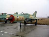 _papa_040203_gyz_726_small.jpg