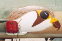 _mig_21bis_48_pa00_gz001_small.jpg