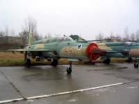 _papa_040203_gyz_727_small.jpg