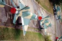 _pa030929_ag_010_mig_21_small.jpg